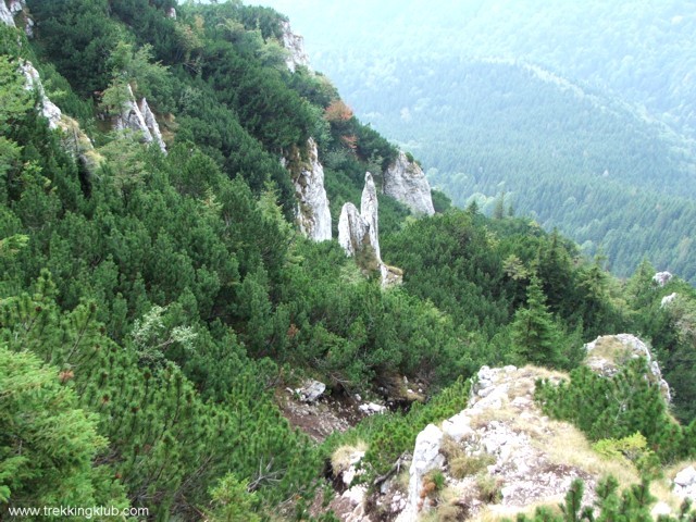 Acul din Valea Urzicii - Piatra Craiului