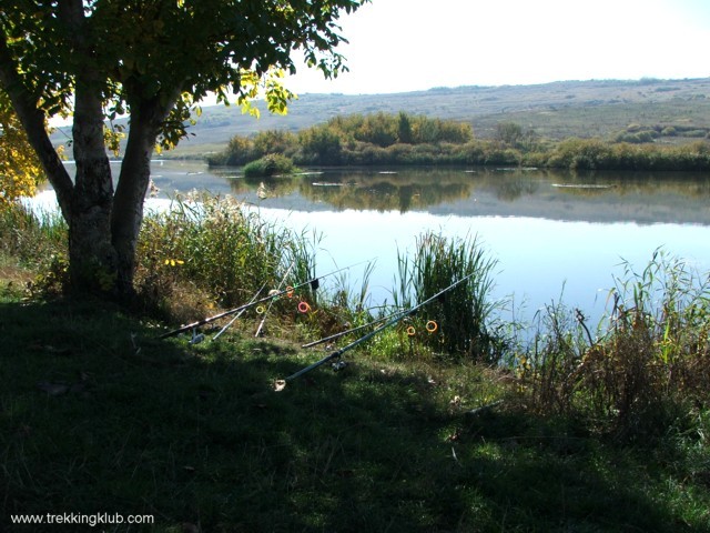 Lacul Lebedelor - Faragau