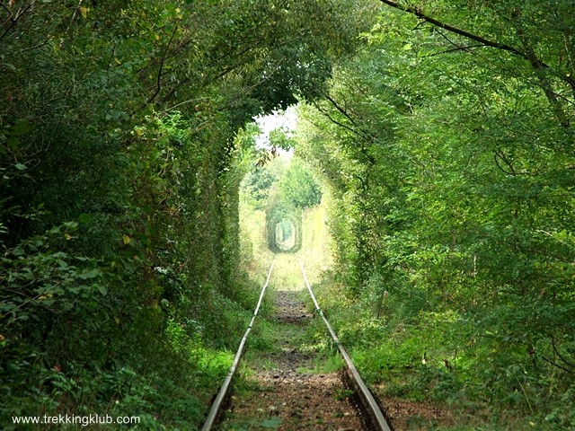 Tunelul Dragostei - Obreja