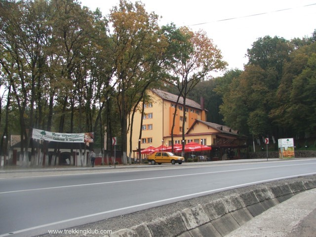 Stejeris Stejeris