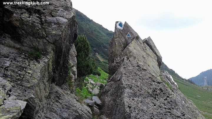 Poarta potecii - Valea Balea - Muntii Fagaras