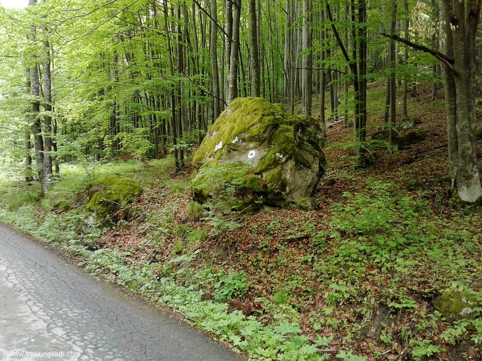 Stanca Capul de om - Valea paraului Bradul Mare