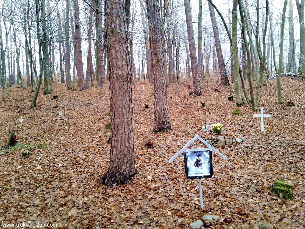 Cimitirul de animale - Odorheiu Secuiesc