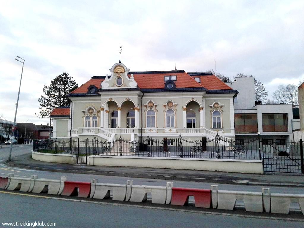 Cocosul de Aur - Targu Mures