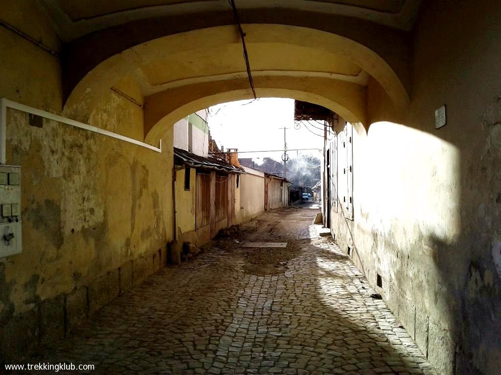 Strada Mamica Mica - Targu Secuiesc