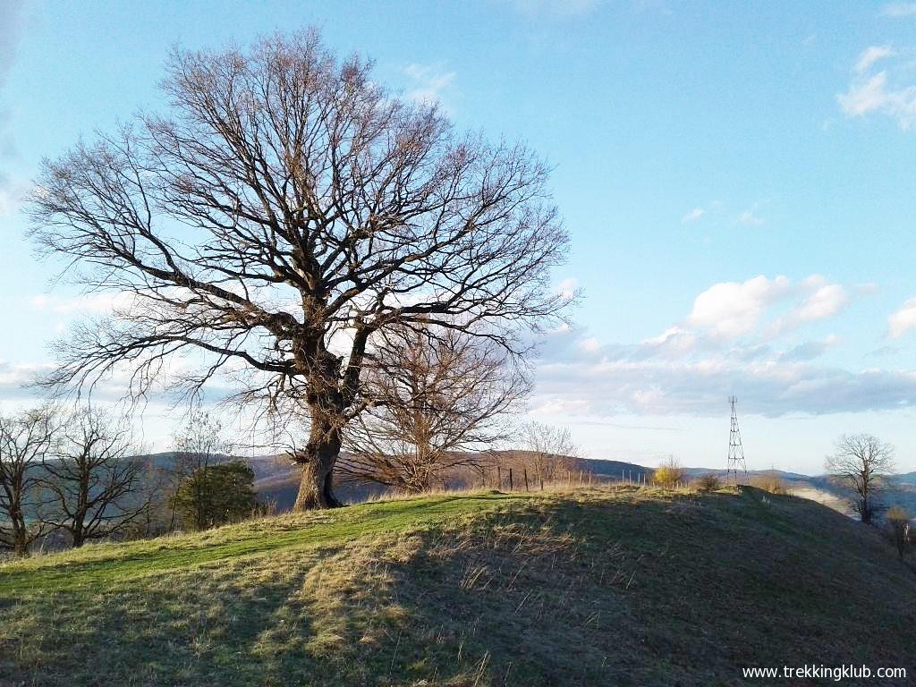 Observatorul Lunca Postei - Sighisoara