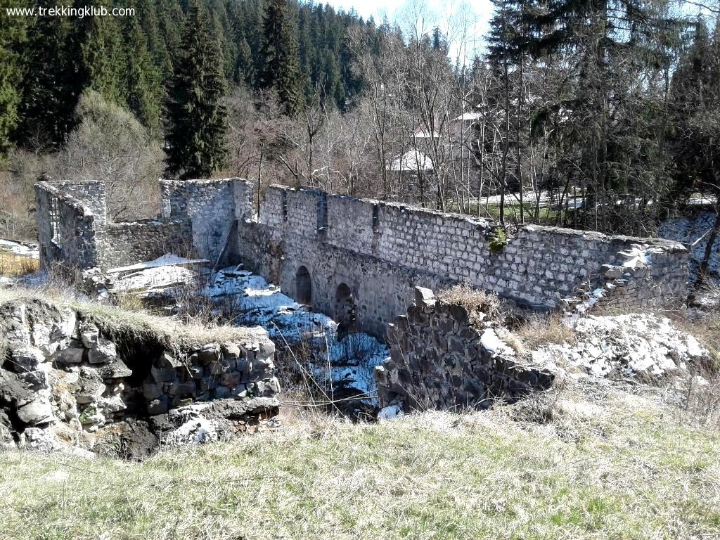 Ruina forjei Ruinele forjei - Vlahita