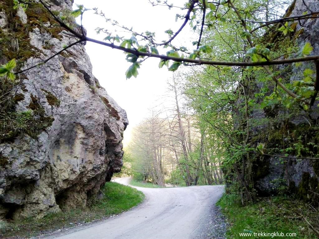 Poarta de piatra - Comana de Sus