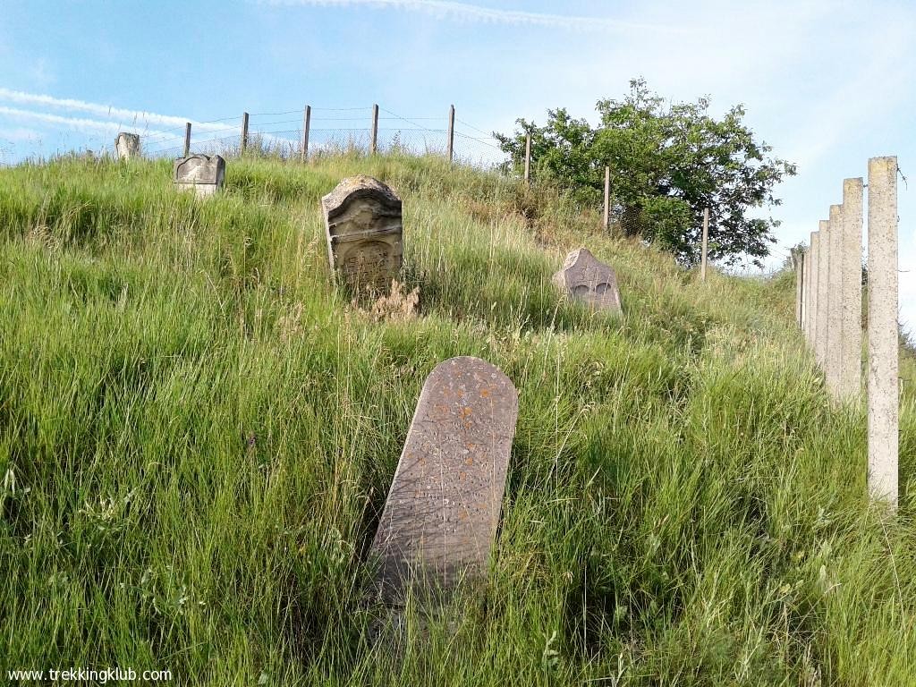 Pe deal Cimitirul evreiesc - Bogata
