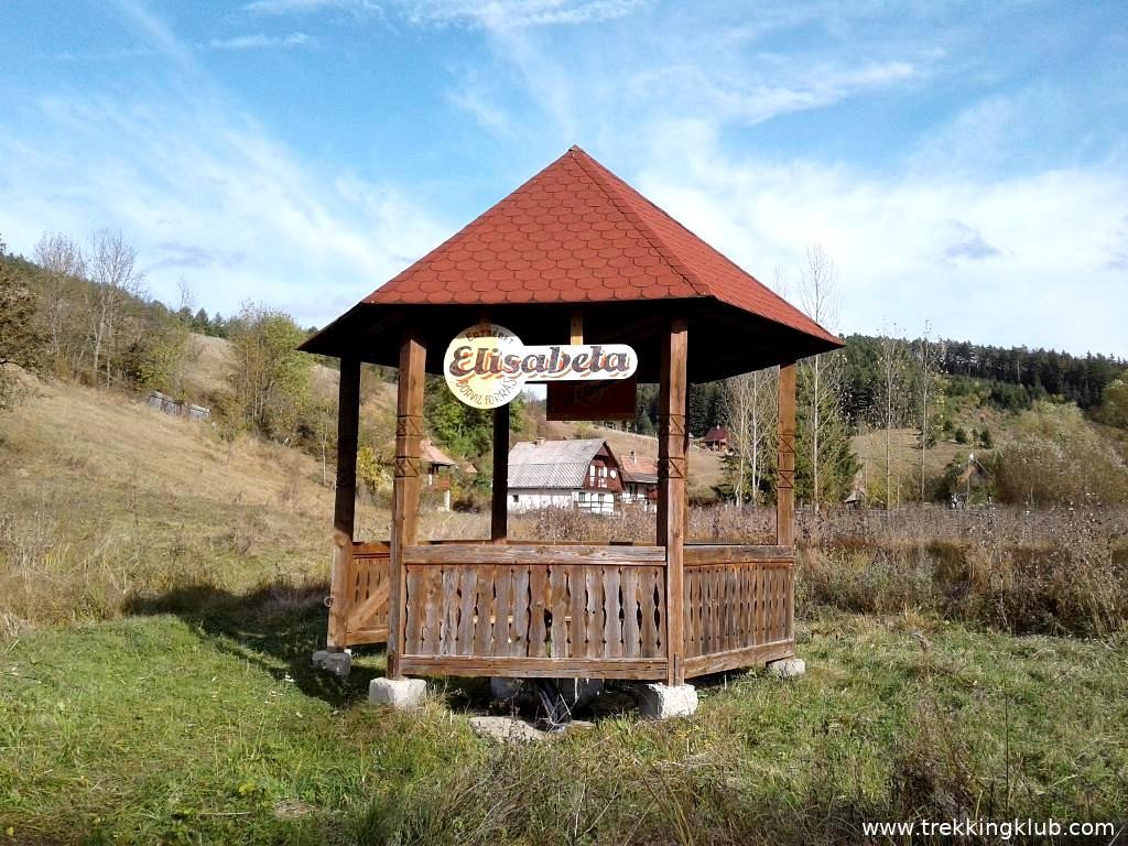 Izvor amenajat Izvorul de apa minerala Elisabeta - Hosasau