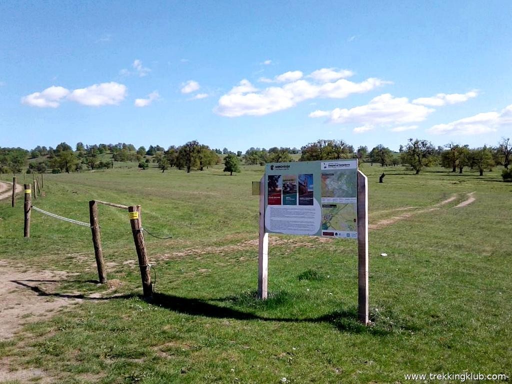 Intrarea pe pasune Pasunea cu stejari seculari - Mercheasa