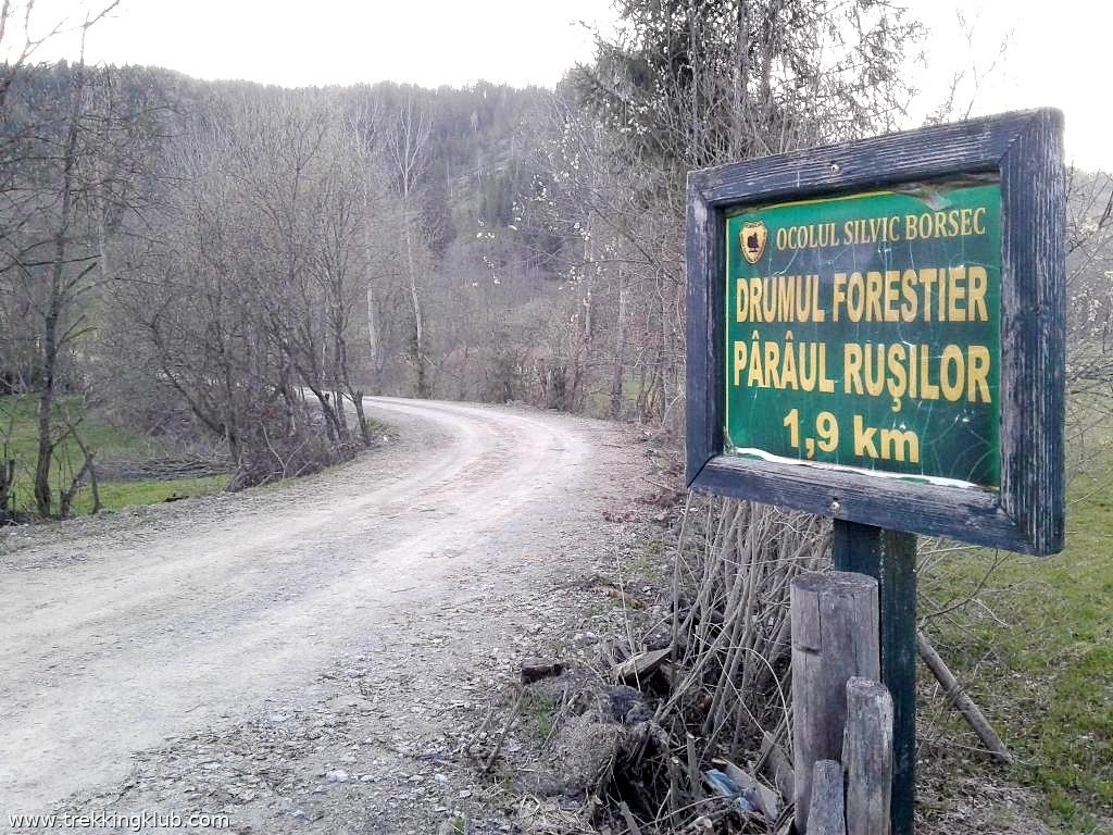Drumul forestier Paraul Rusilor Mlastina de la Paraul Rusilor - Bilbor