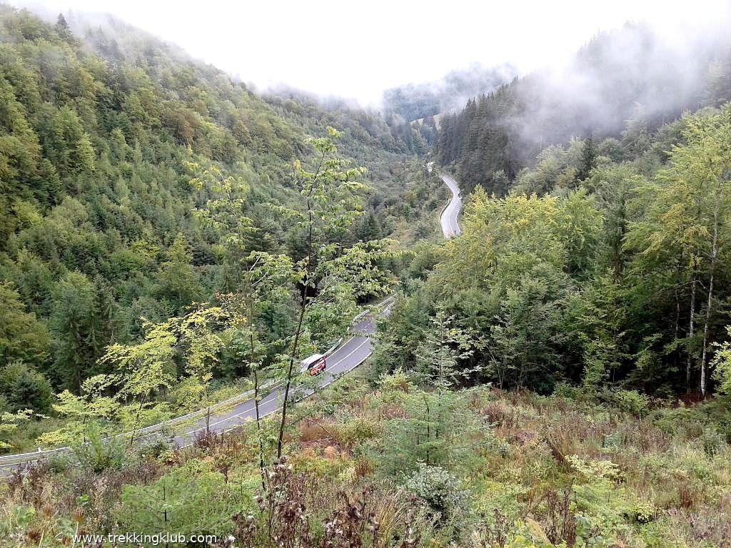 Belvedere Panorama Valea paraului Drumul Carului - Pasul Casin