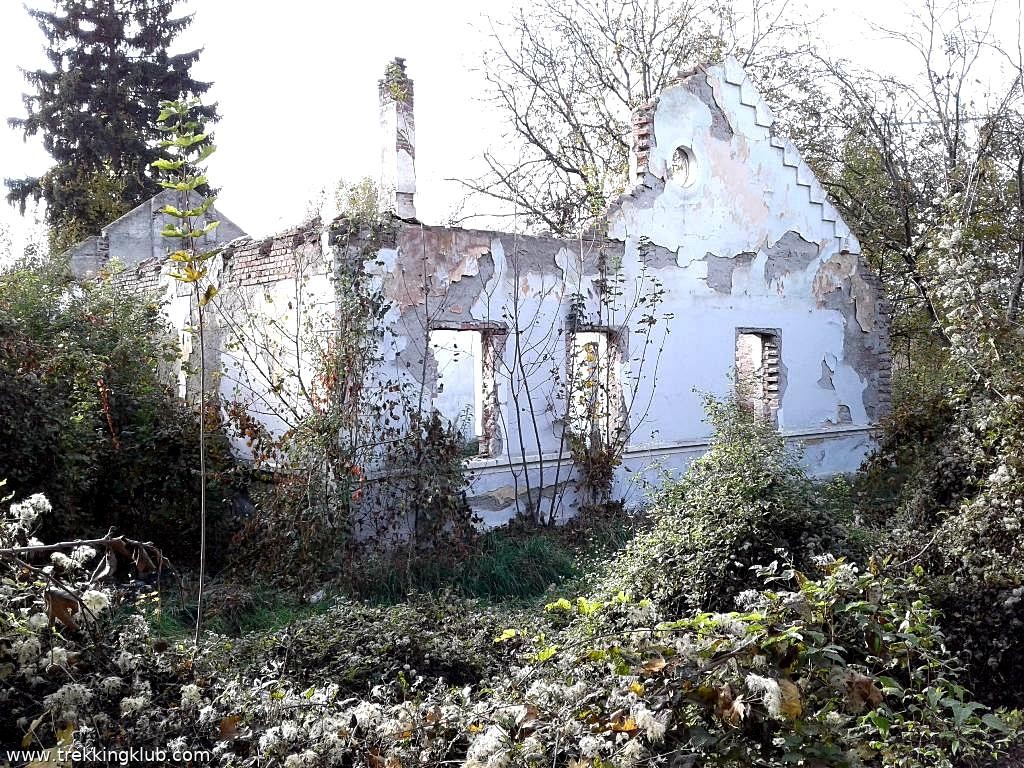 Fosta Fabrica de Zahar - Targu Mures