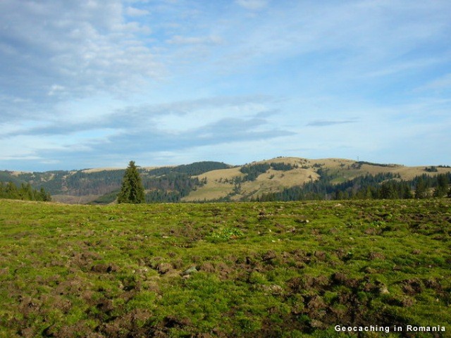 Buteasa - Muntii Bihor