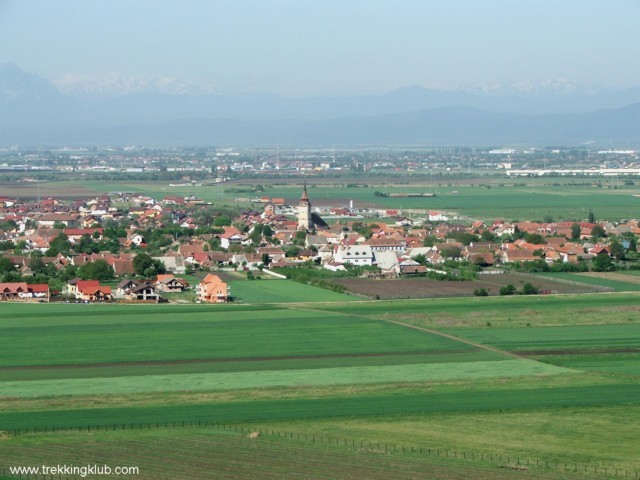 Printre pini - Sanpetru