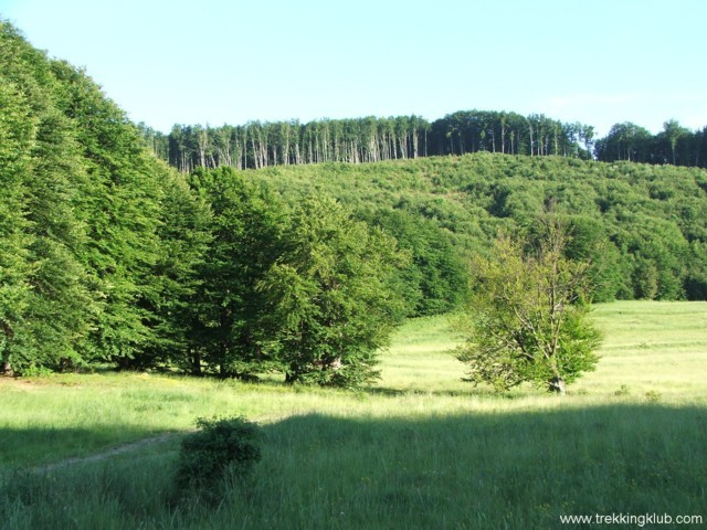 Piatra Siclodului