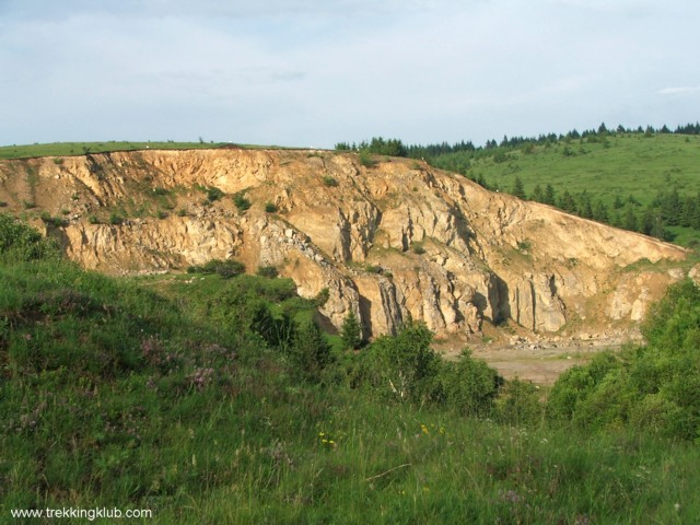 Cariera - Delnita