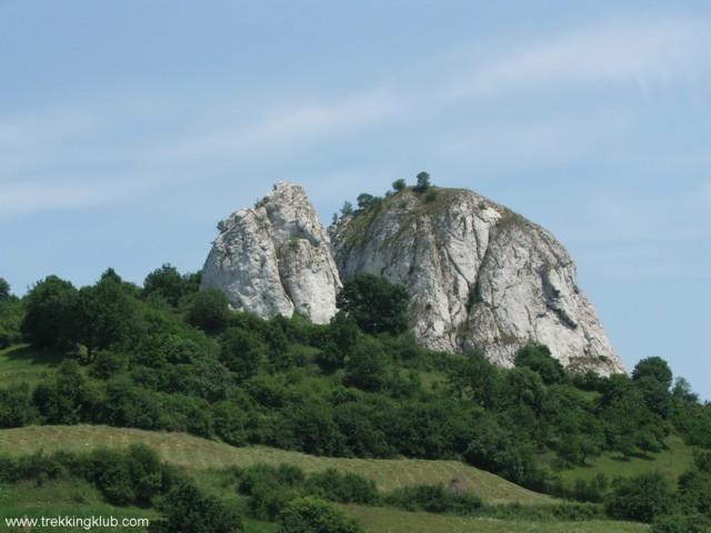 Calcarele de la Ampoita