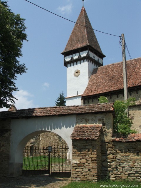 Mesendorf