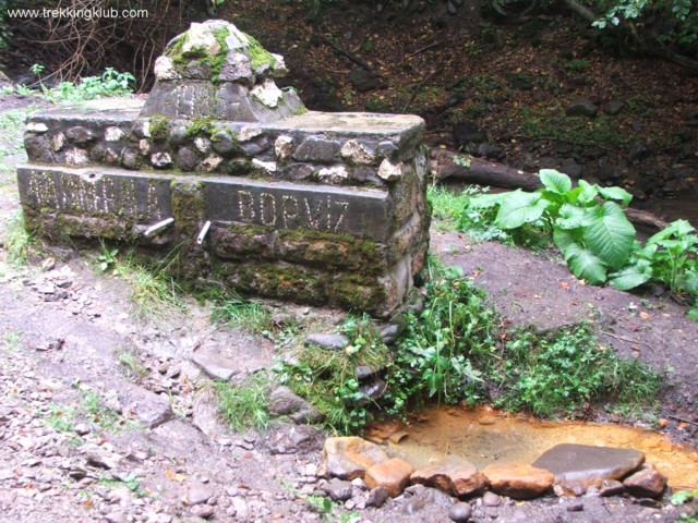 Apa minerala Buzgo - Valea paraului Bradul Mare