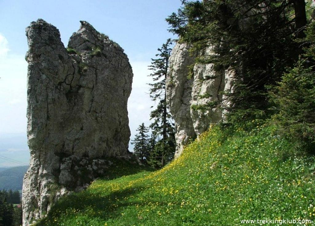 Poarta Doamnei - Poiana Brasov