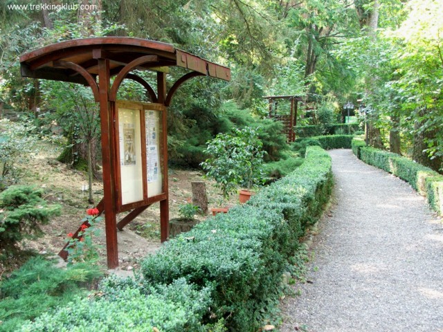Alee Gradina botanica - Targu Mures
