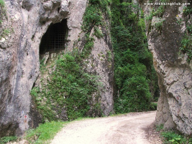 Prapastiile Zarnestilor - Piatra Craiului