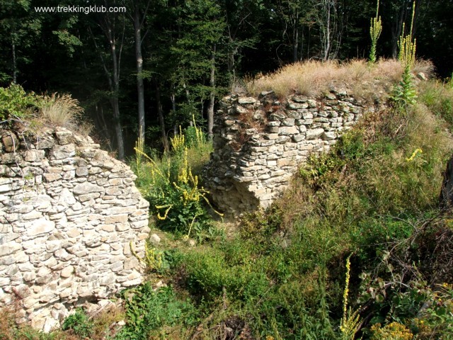 Cetatea Salgo - Sibiel