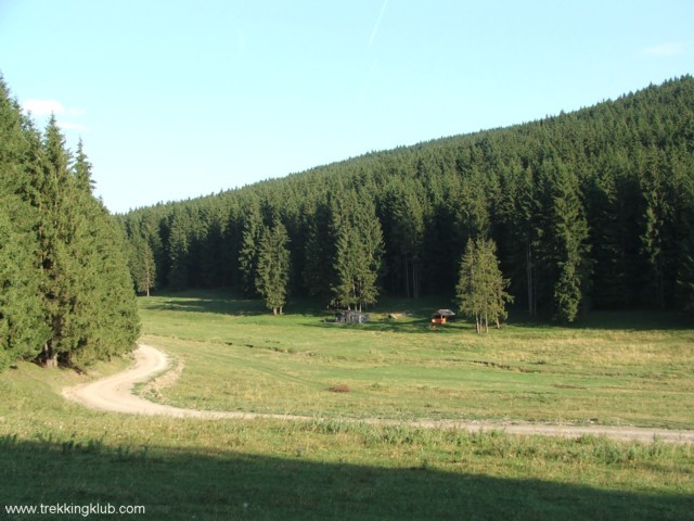 Valea paraului Pustnicul - Soimeni-Ciuc