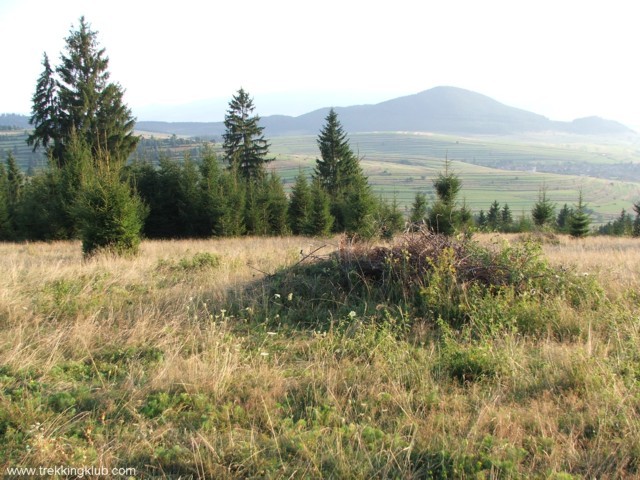 Dealul Cetatii - Soimeni-Ciuc