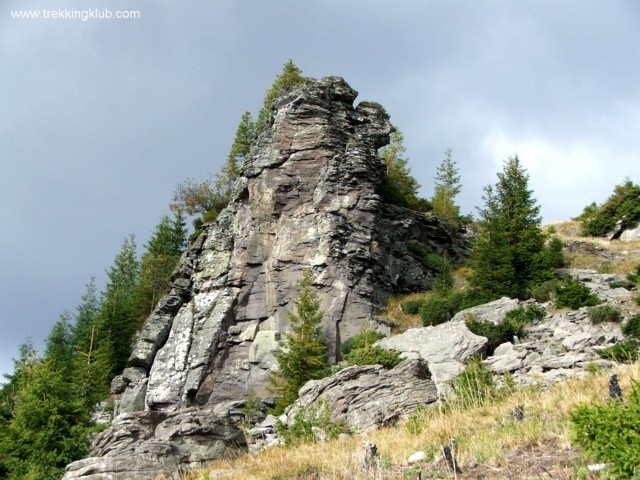 Stanca Domnul Lomasel