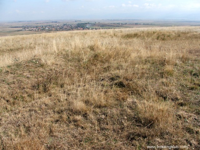 Cetatea Fergettyu - Aninoasa