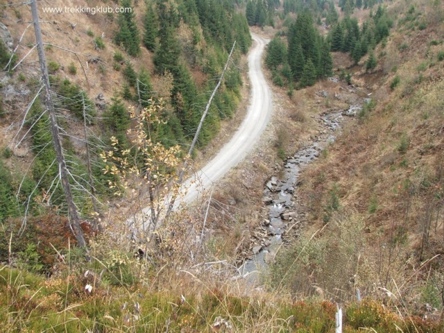 Drumul Transharghita