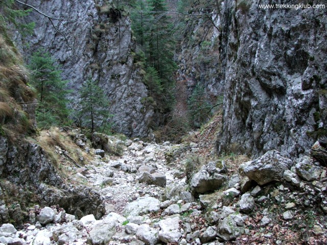 Cheia Pisicii - Piatra Craiului