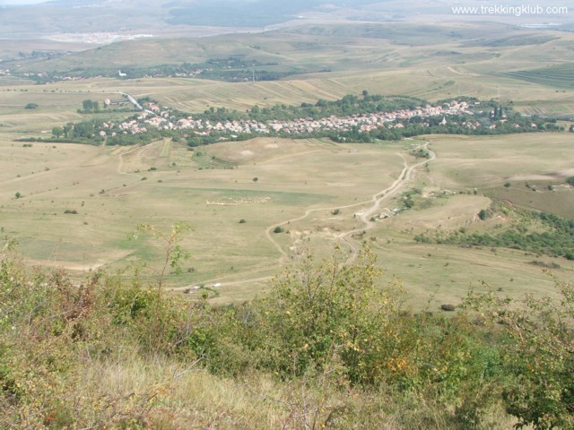 Cetatea Liteni