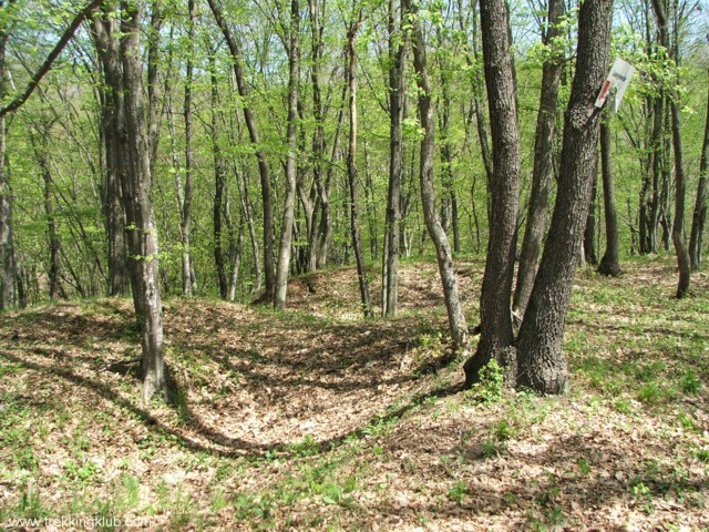 Cetatea Fetei - Olteni