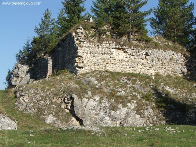 Cetatea Oratia