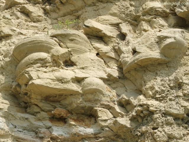 Trovantii de la Viisoara - Muntii Berzunti