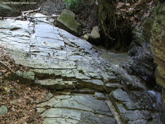 Cascada Cernica