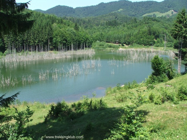 Lacul Cuiejdel - I