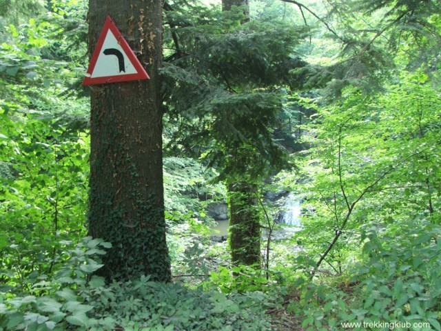 Langa cascada Cascada Duras - Muntii Tarcaului