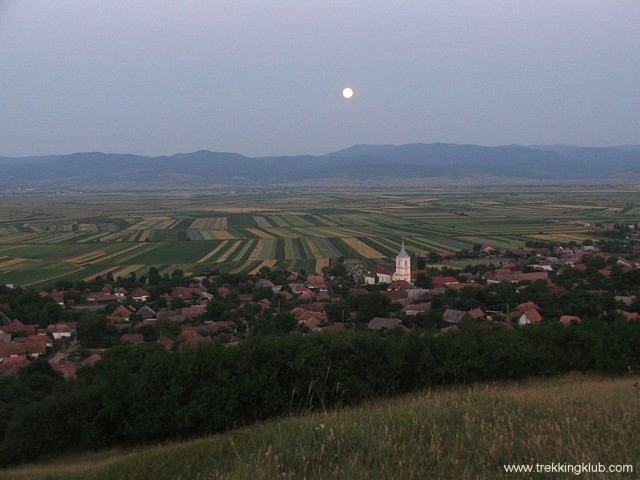 Poian