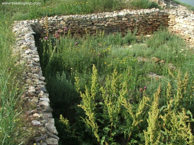 Cetatea Argamum