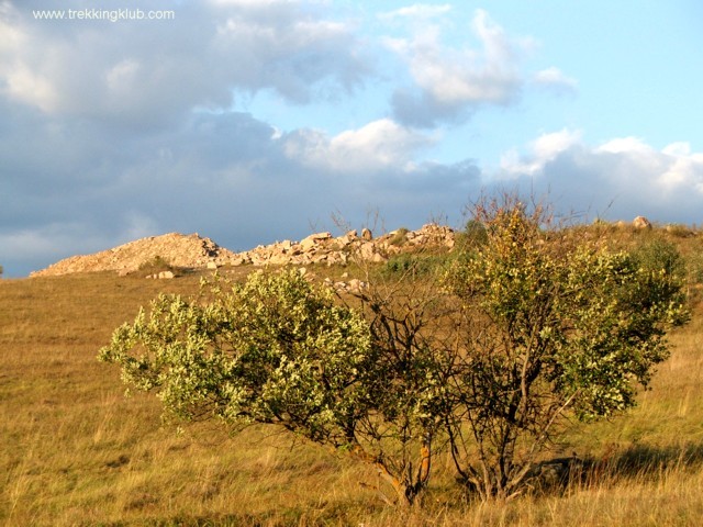 Coasta Pietroasa