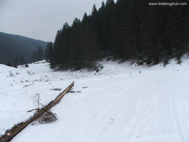 Valea paraului Oroci