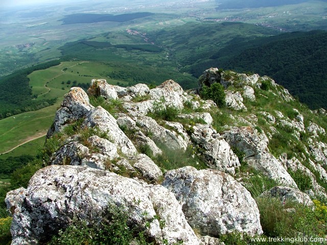 Piatra Craivei - Muntii Trascaului