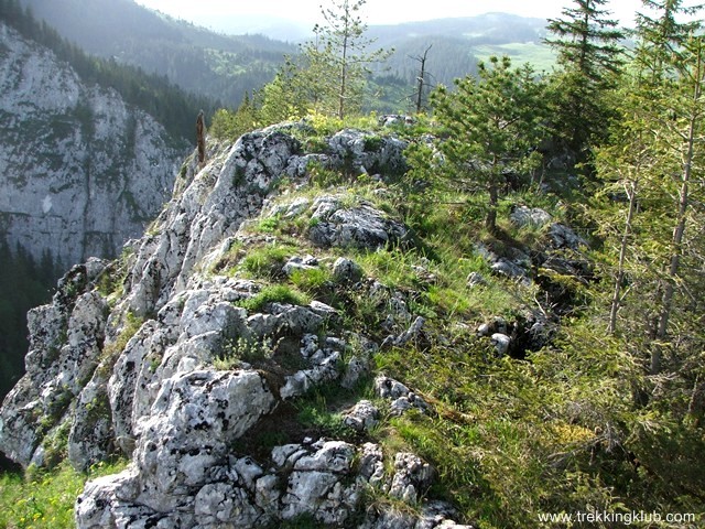 Piatra Bardos - Cheile Bicazului