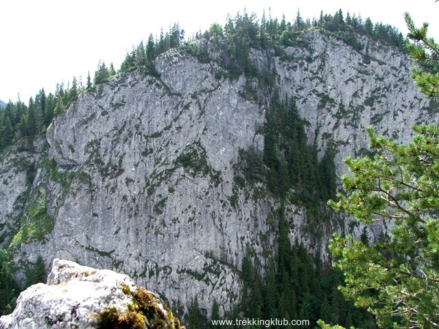 Piatra Cupas - Cheile Bicazului