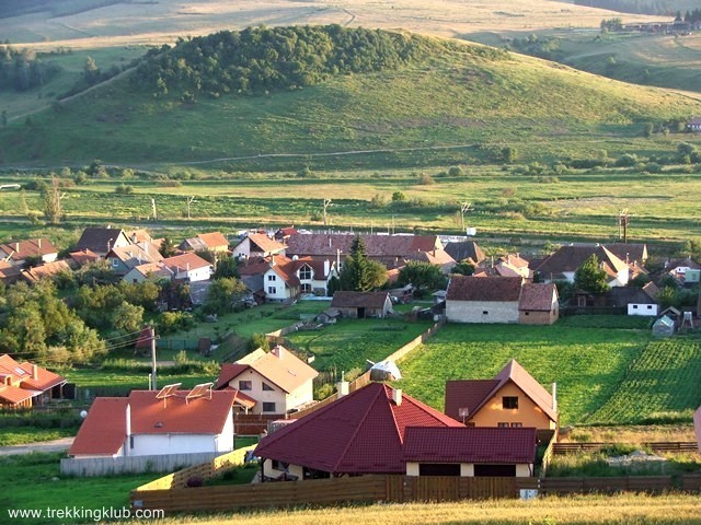 Piscul Cetatii Mici - Jigodin